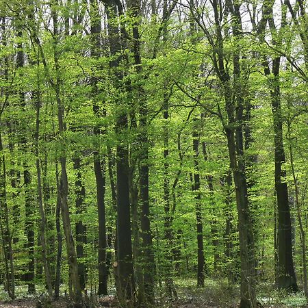 Ferienwohnungen Fischer Strullendorf Luaran gambar